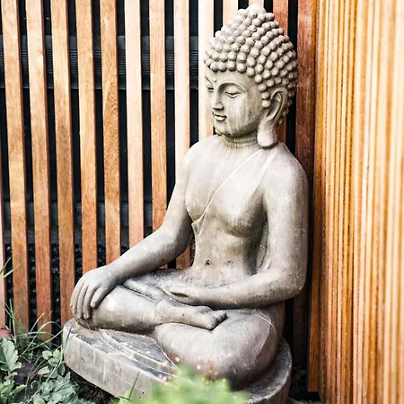 Celeste Beaute & Hotel *